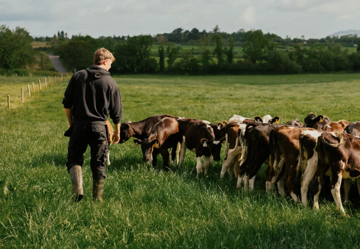 Herd Health Animal Programme