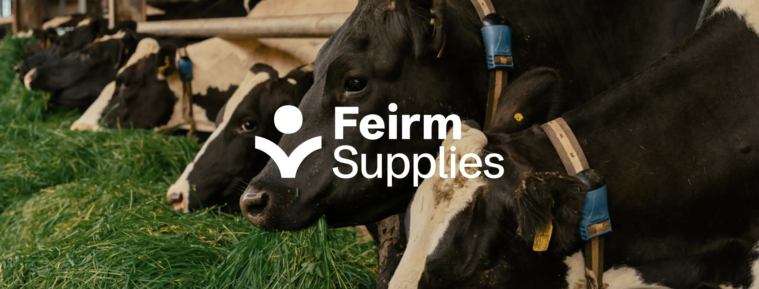 Feirm Supplies