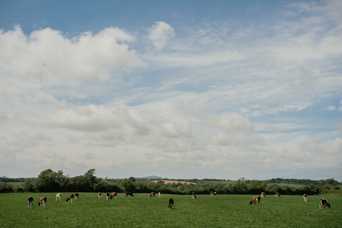 Meet Rachel Murphy: Head of Marketing at Feirm Co-op