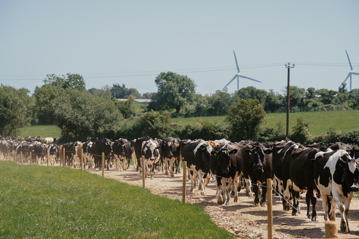 Budget 2026 Ireland: What Does It Mean for Irish Farmers?
