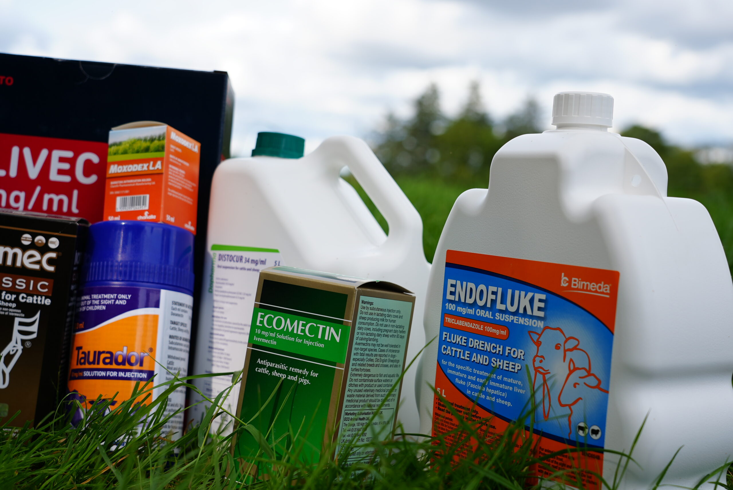 Protect Your Herd This Summer: Smart Strategies for External Parasite Control — image 3