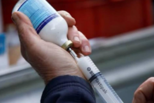 New Regulations for Antiparasitic Medicines — image 1