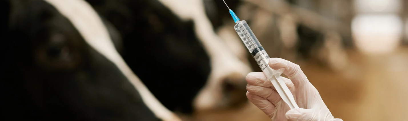 New Regulations for Antiparasitic Medicines — image 2