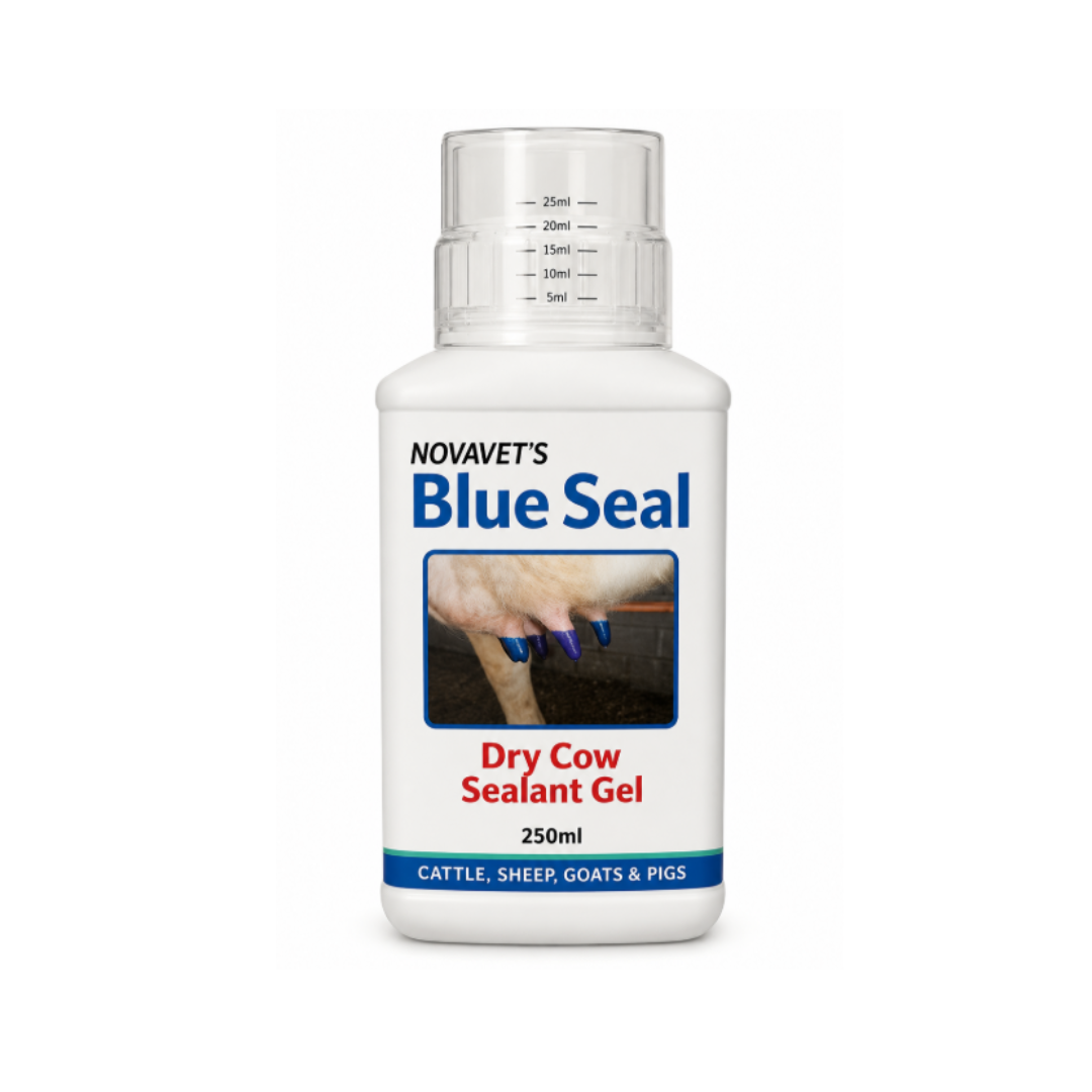 Blue Seal 500 ml 80 cow pack