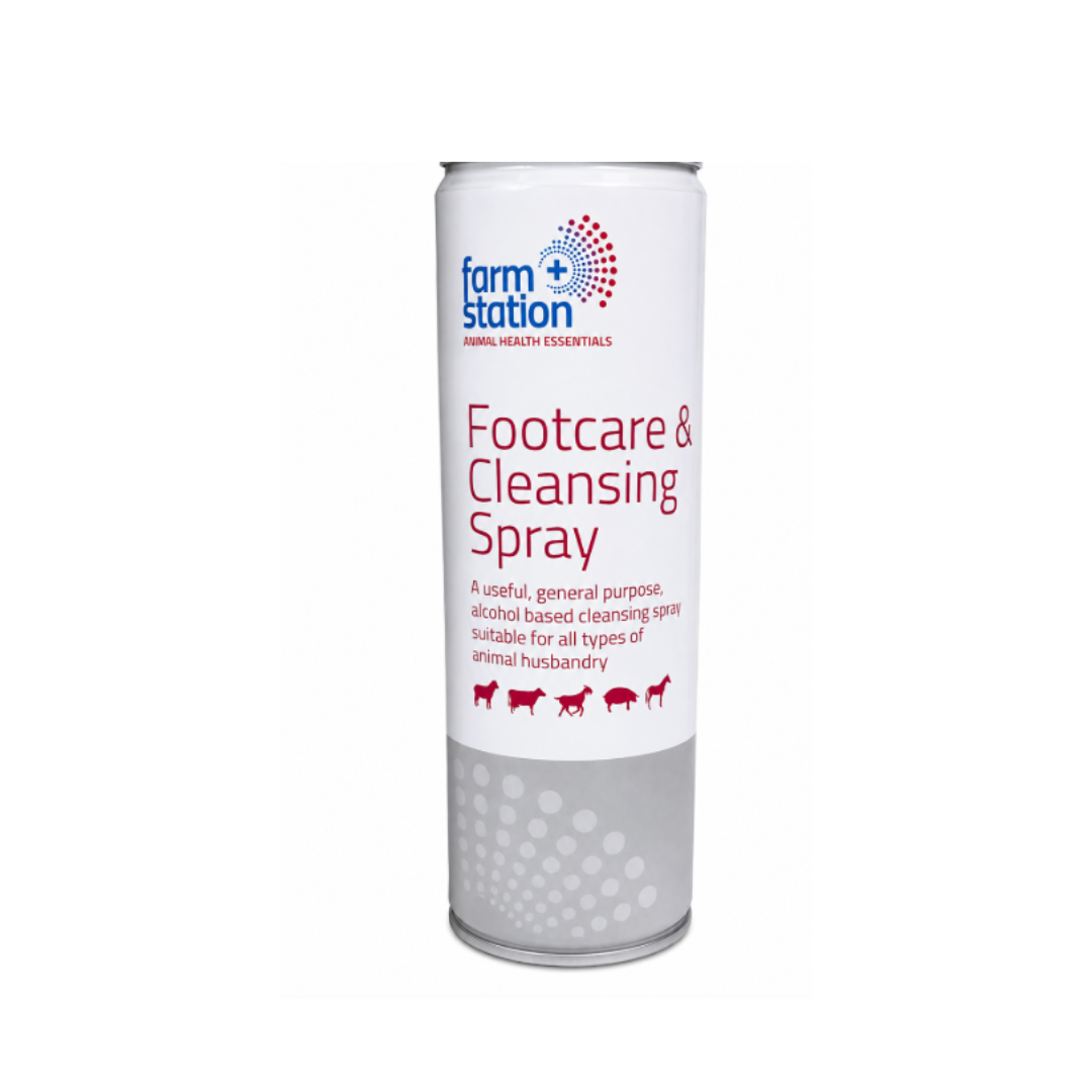 Footmax Antibacterial Spray 500ml