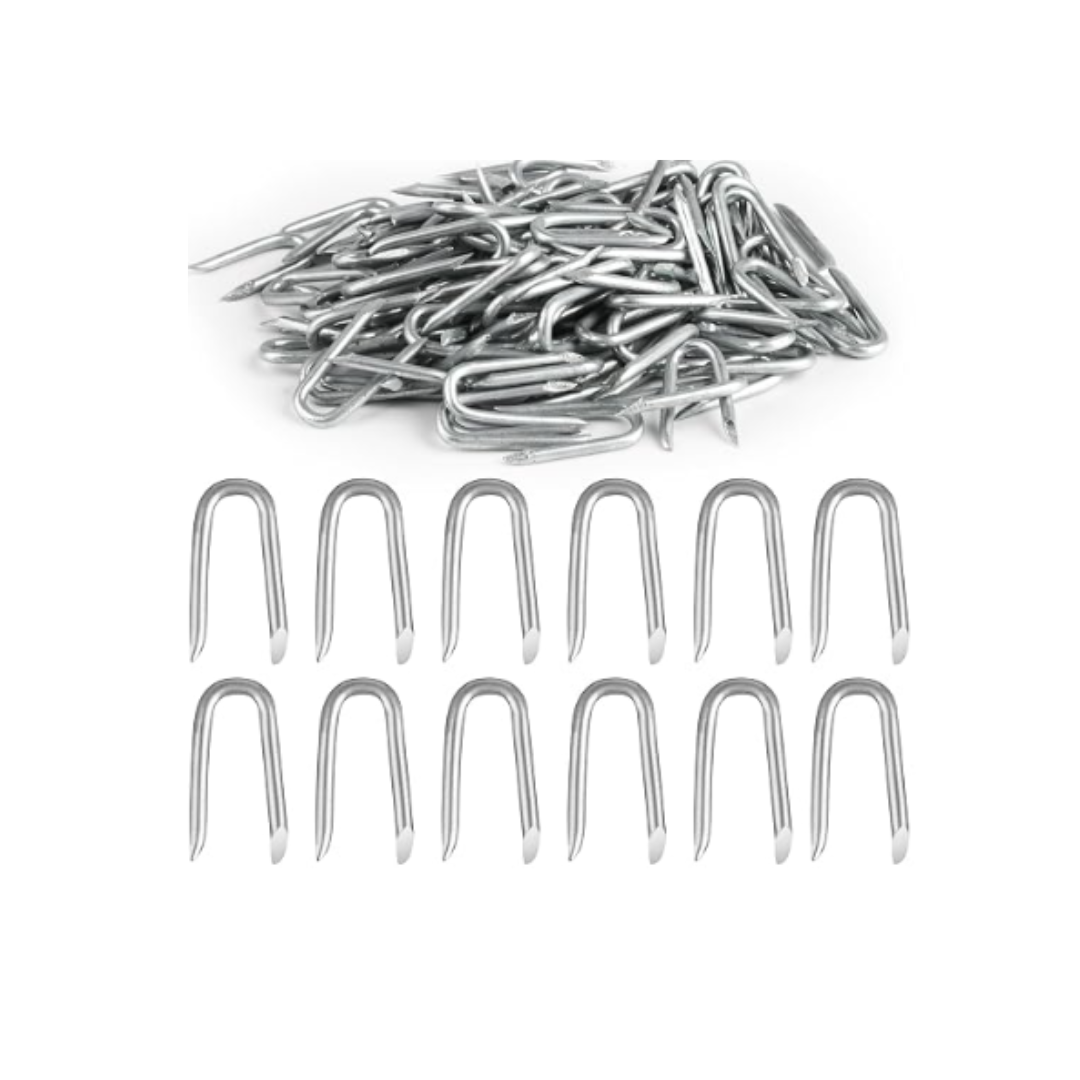 Staples 40mm 1kg