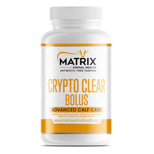 Crypto Clear 20 Pack