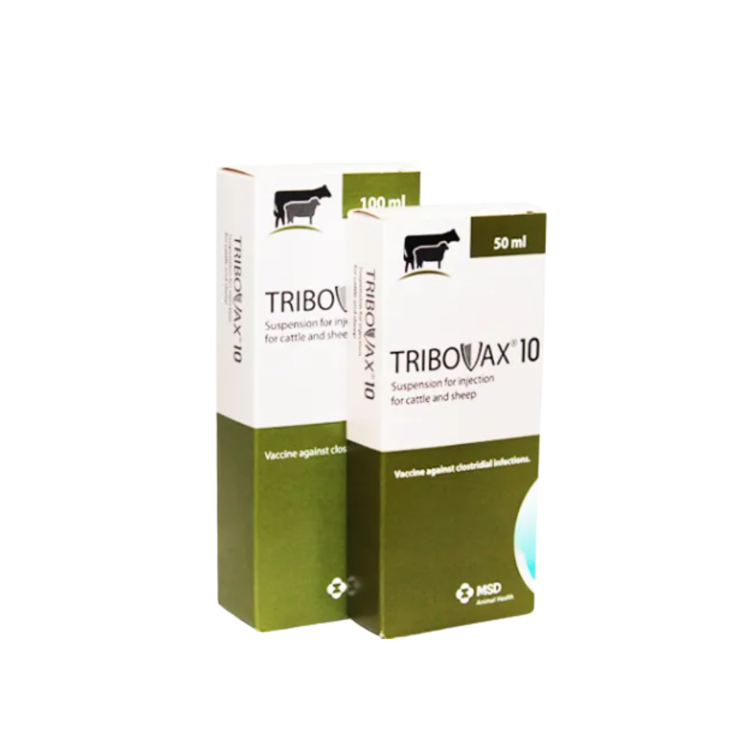Tribovax 10