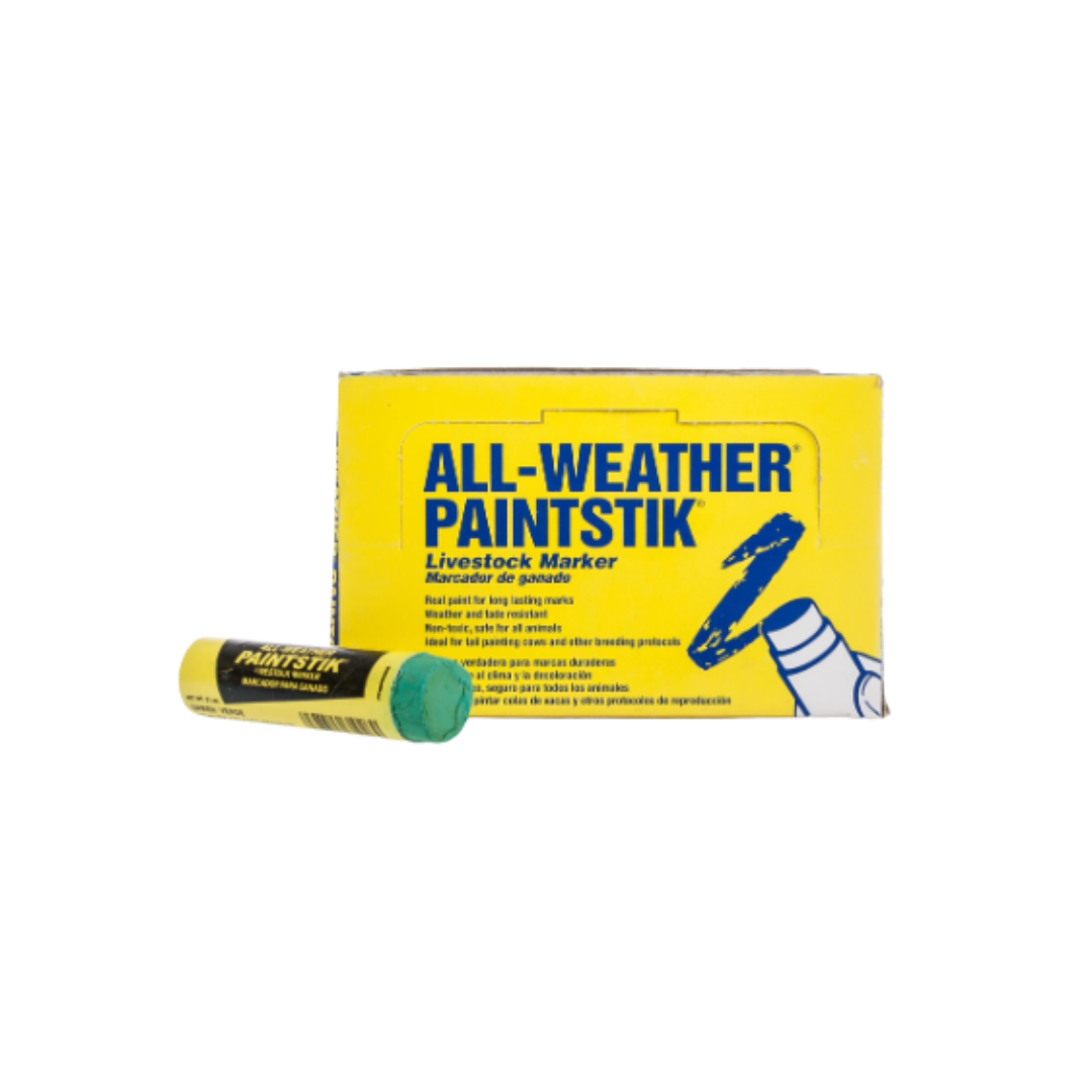 All Weather Paint Stick Orange