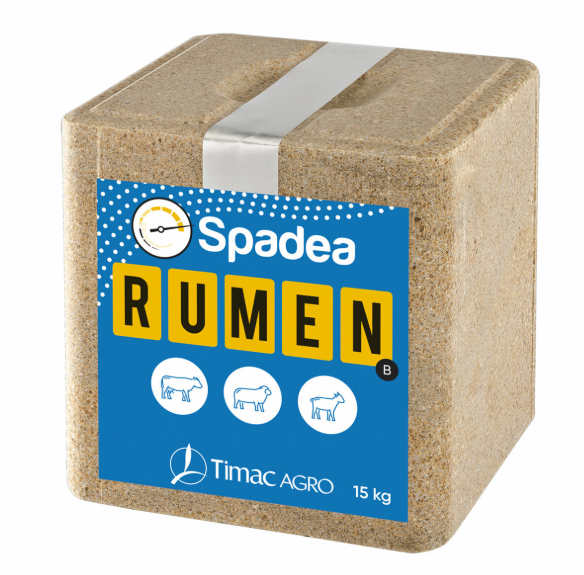 Spadea Rumen