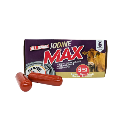 All Guard Iodine Max Bolus