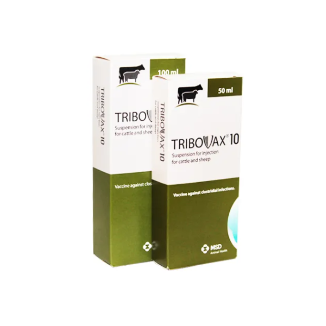 Tribovax10  100ml - 50 dose