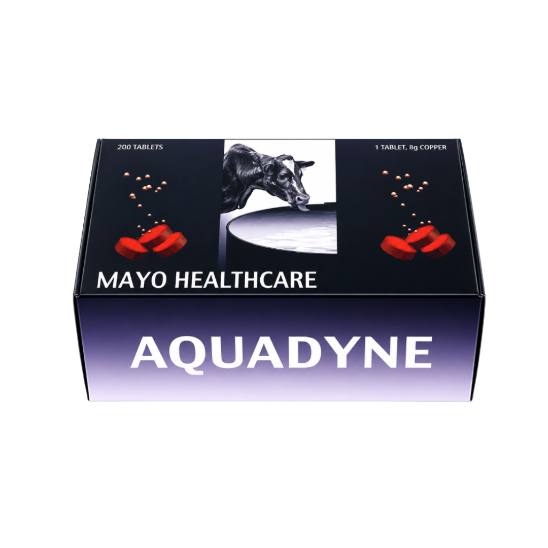 Aquadyne 200 Pack