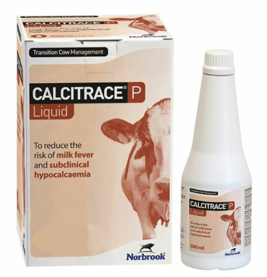 Calcitrace P Liquid 500ml