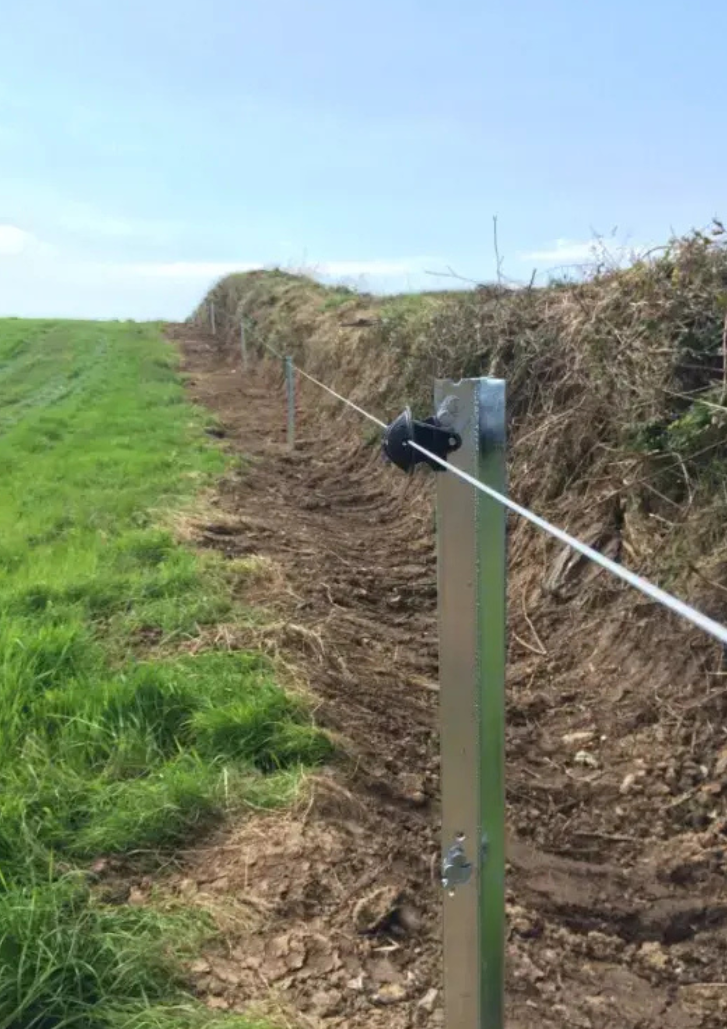 Clipex Eco Post 2 Clip - Grazing Control