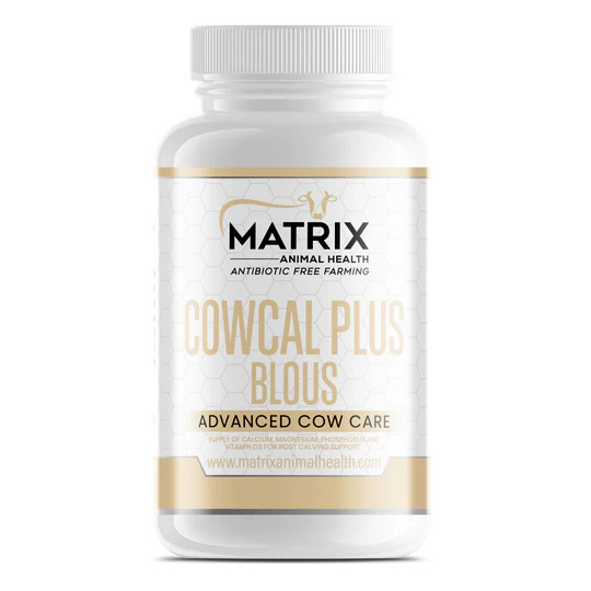 CowCal Bolus 20 Pack - Fresh Cow Calcium Support