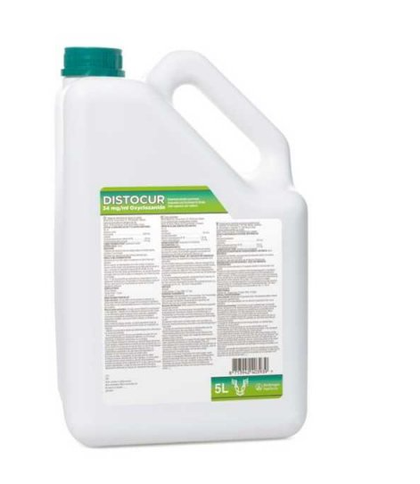 Distocur 34 mg/ml Oral Suspension | Liver Fluke & Tapeworm Drench for Cattle & Sheep