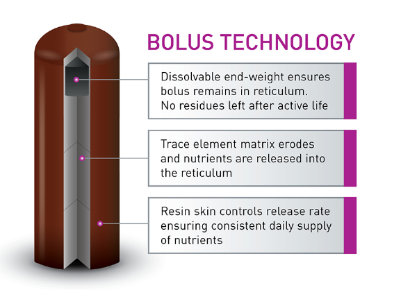 All Trace High Iodine Bolus for Cattle | Long-Acting Trace Element Supplement