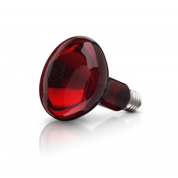 Infra Red Bulb 250 watt - Youngstock Heat Support