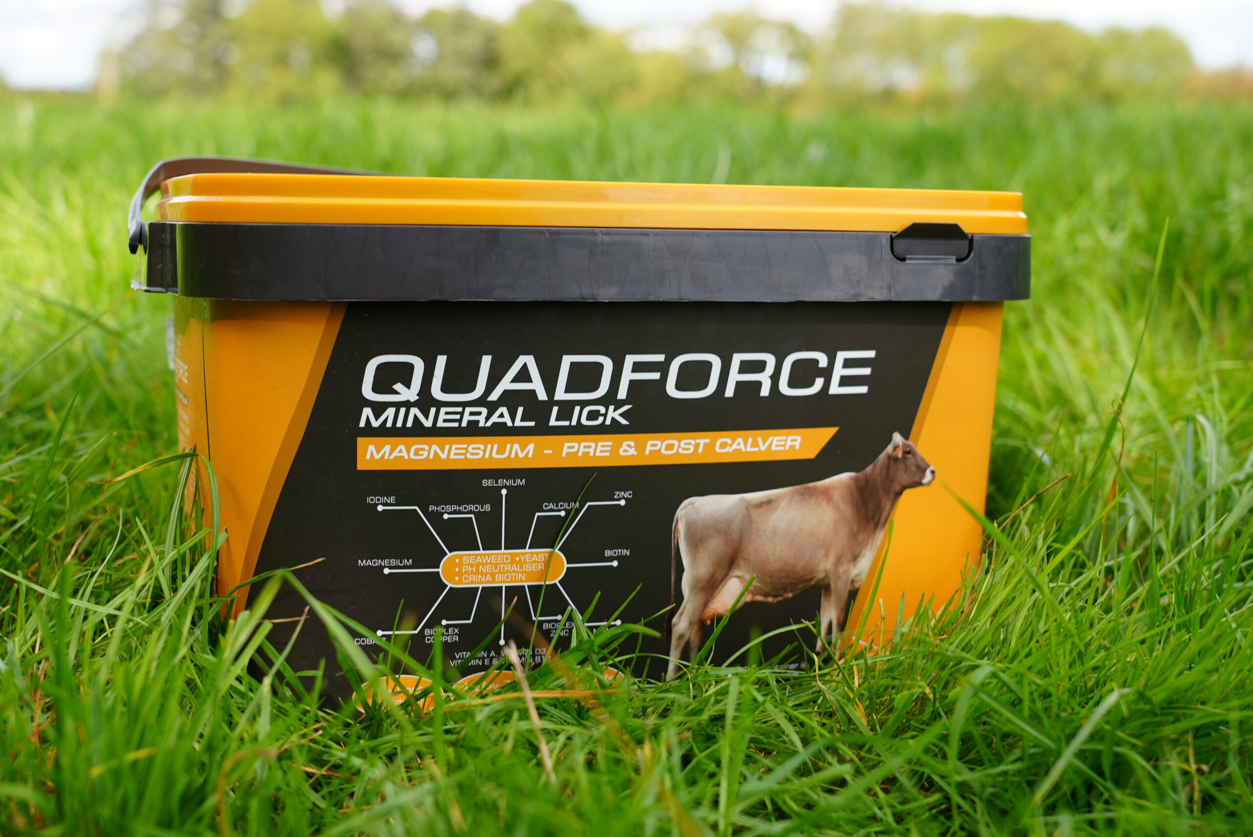 Magnesium Calver Bucket 20kg