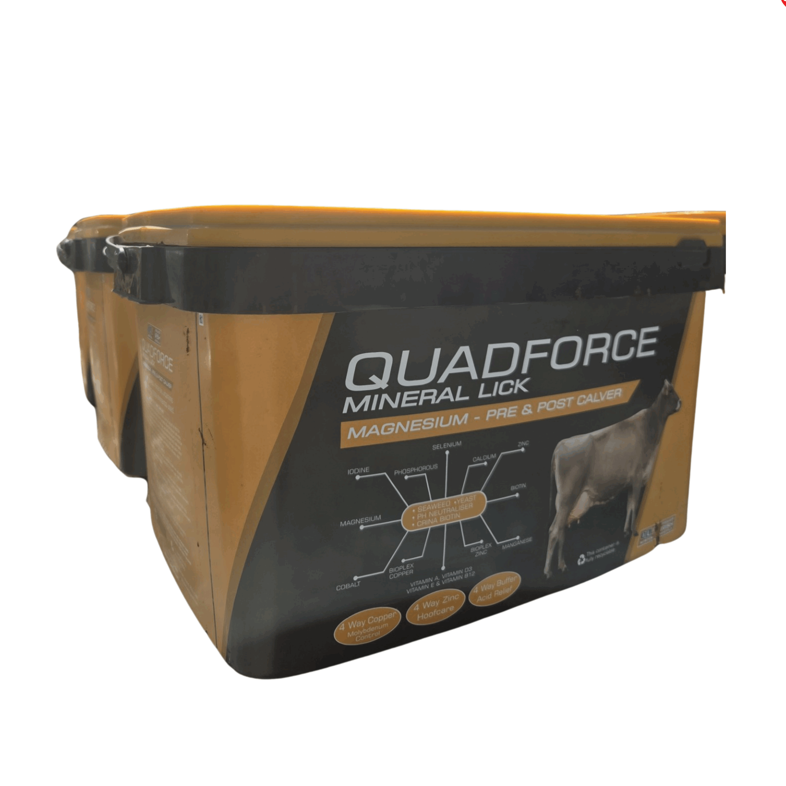 Magnesium Calver Bucket 20kg - Pre And Post Calving