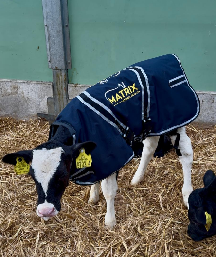 Matrix Calf Jacket