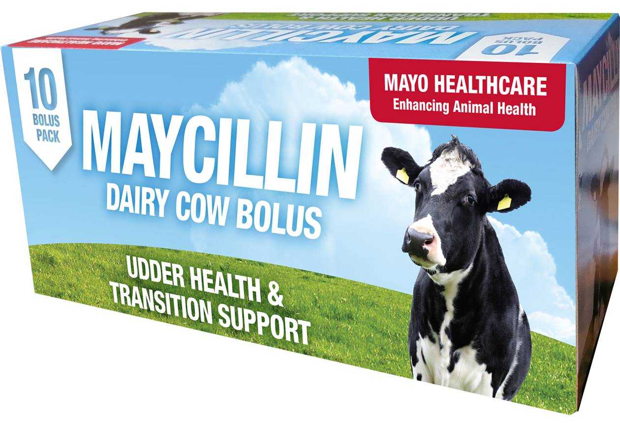 Maycillin Bolus 10 Pack