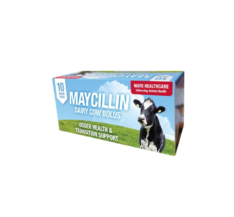 Maycillin Dairy Cow Bolus (10 Pack) | Udder Health & SCC Control