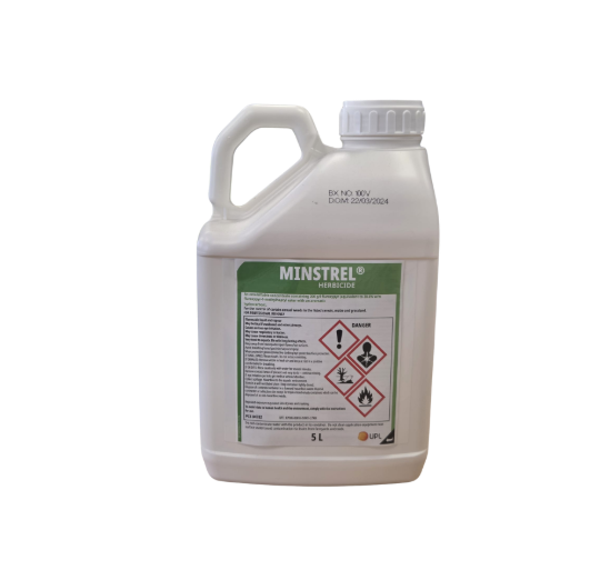 Minstrel 5L