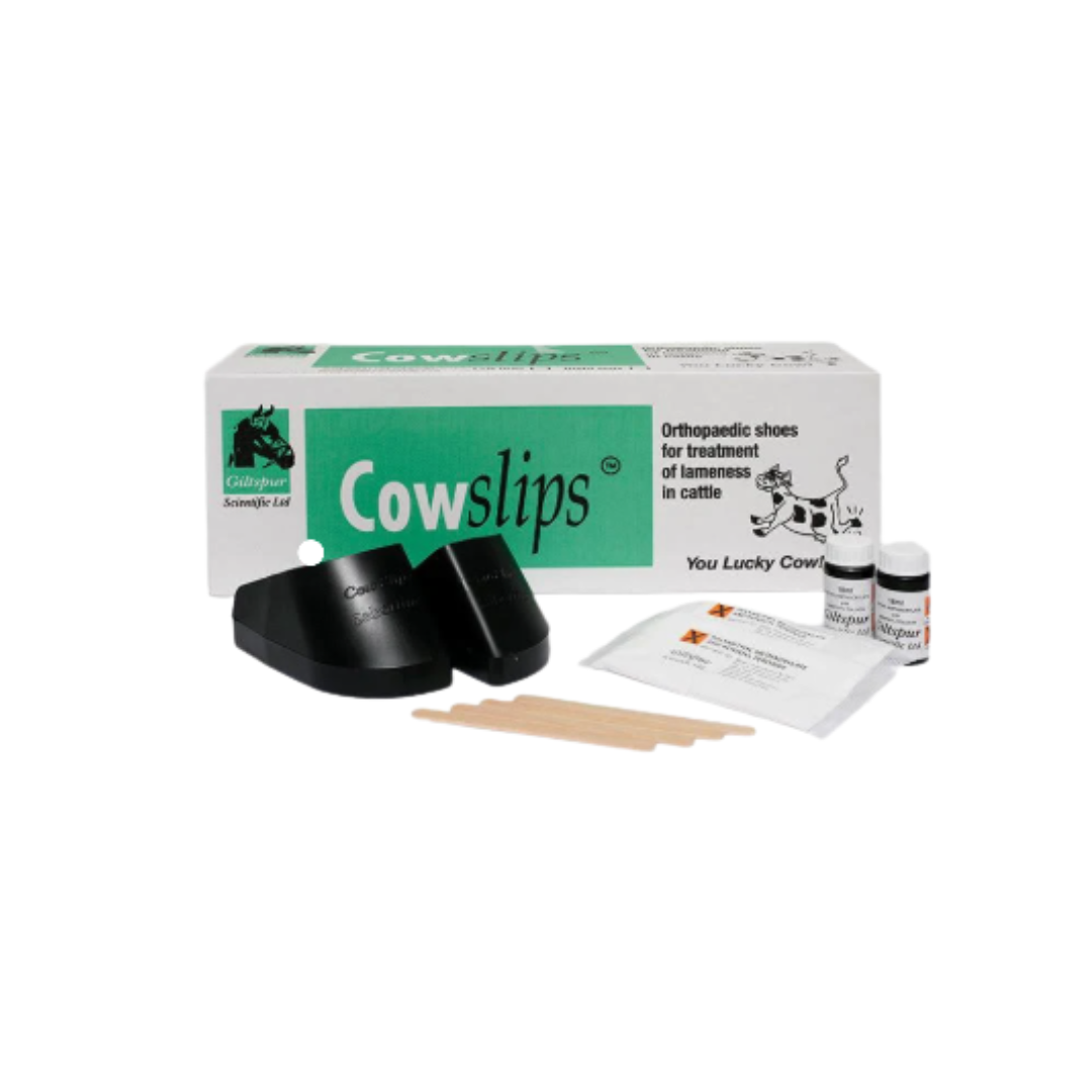 Cow Slips Plus 10 mixed pack