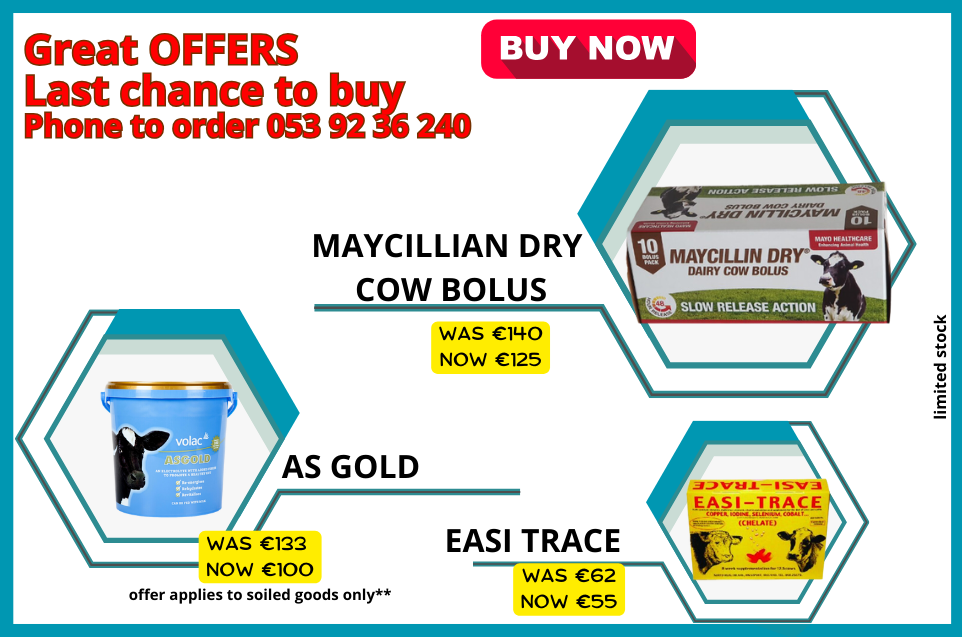 Ritchey Super Sprayline 400ml Green