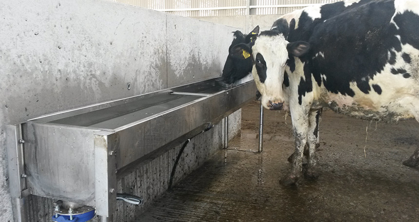 Stainless Steel Trough 2m - Fast Empty Wall Mount