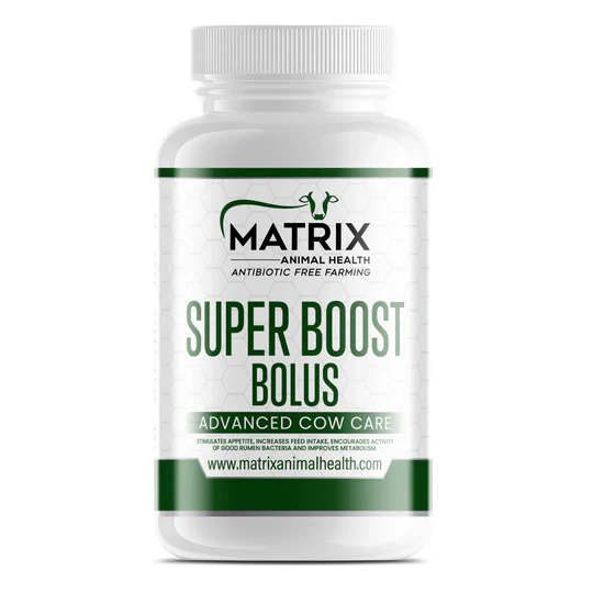 Super Boost Bolus 20 Pack