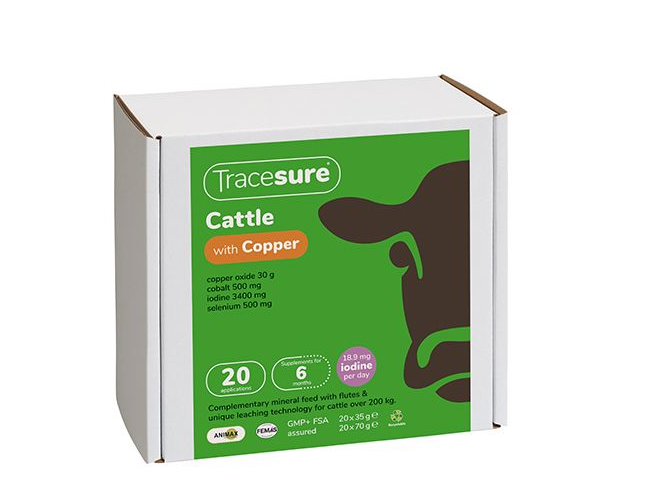 Tracesure Cattle Bolus with Copper | 6 Month Mineral Supplement