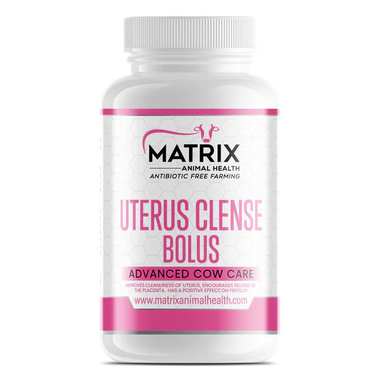 Uterus Cleanse for Cows | Post-Calving Uterine Health Bolus