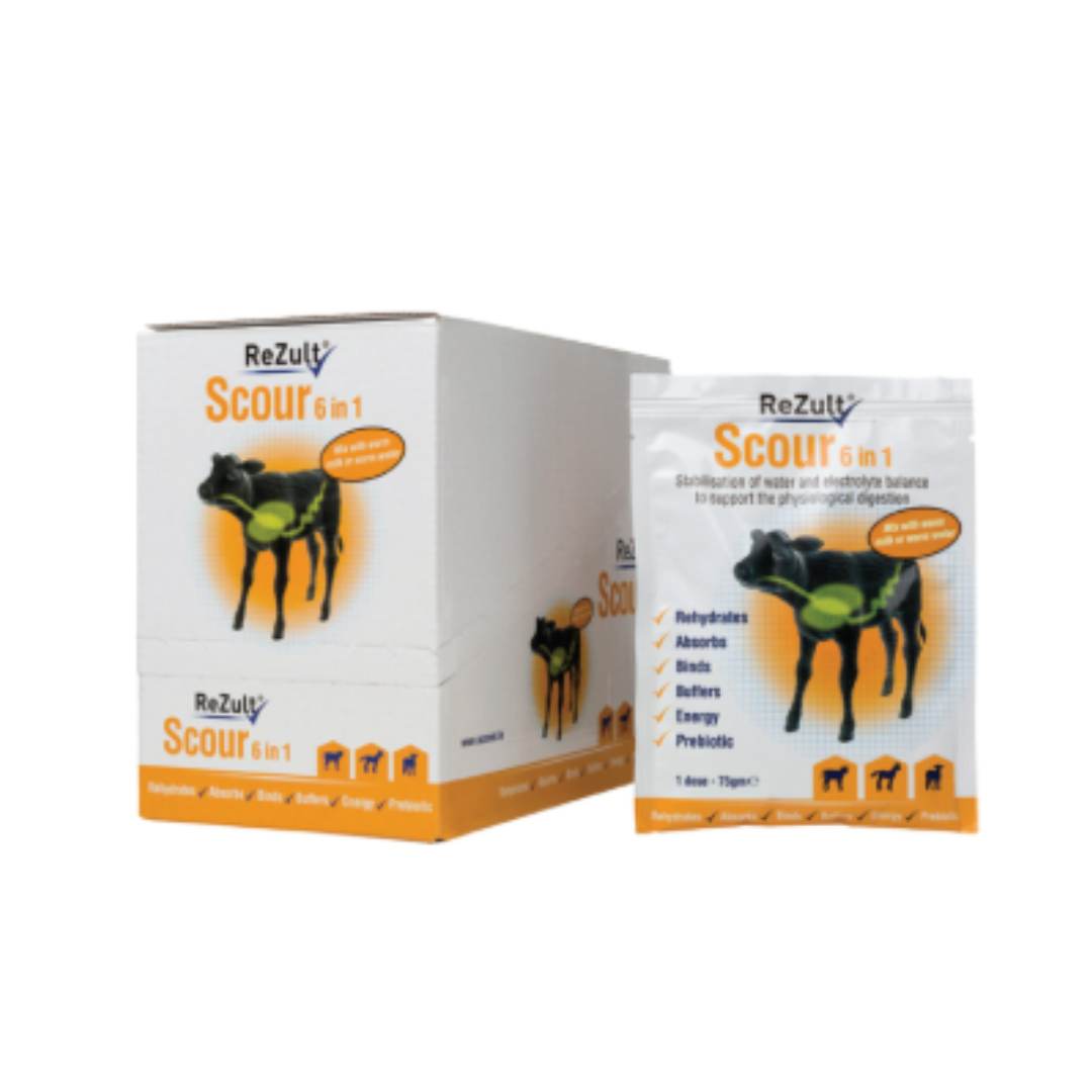 Rezult Scour 6 in 1 Sachets 12 Pack